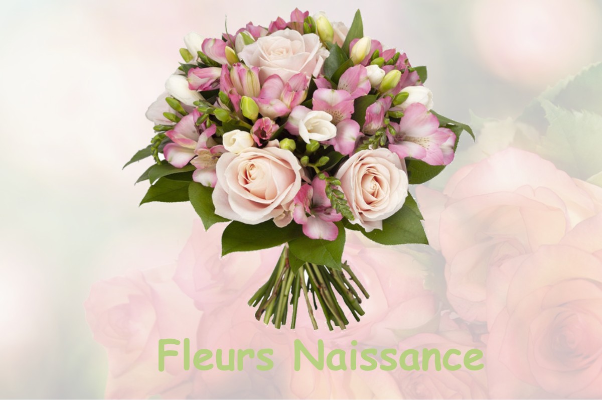 fleurs naissance FLEURY-LA-MONTAGNE